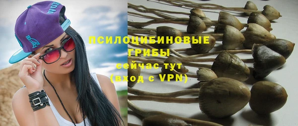 крисы Алексеевка