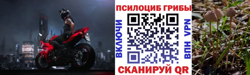 Псилоцибиновые грибы мицелий  Ликино-Дулёво 